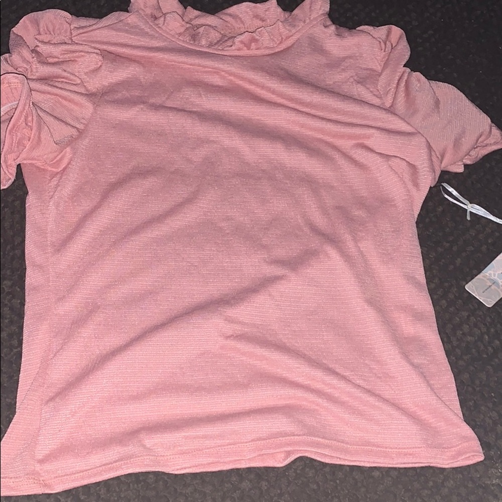 A blush see through blouse with crinkly sleeves